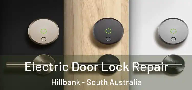 Electric Door Lock Repair Hillbank - South Australia
