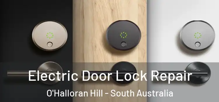 Electric Door Lock Repair O'Halloran Hill - South Australia