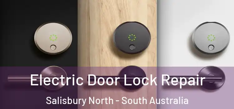 Electric Door Lock Repair Salisbury North - South Australia