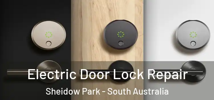 Electric Door Lock Repair Sheidow Park - South Australia