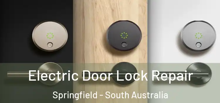 Electric Door Lock Repair Springfield - South Australia
