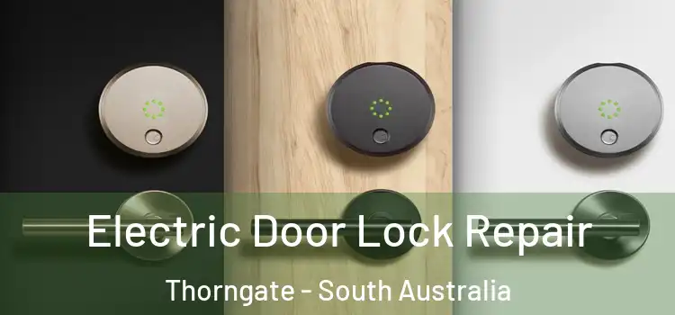 Electric Door Lock Repair Thorngate - South Australia