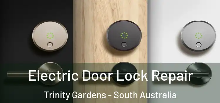 Electric Door Lock Repair Trinity Gardens - South Australia