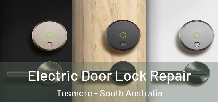 Electric Door Lock Repair Tusmore - South Australia