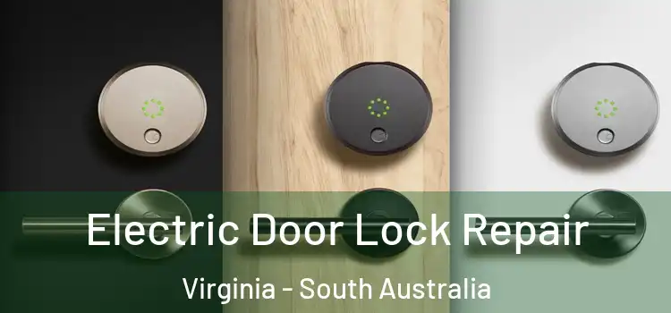 Electric Door Lock Repair Virginia - South Australia