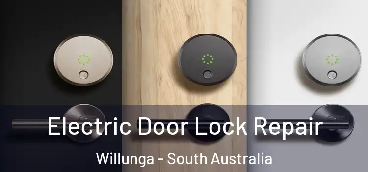 Electric Door Lock Repair Willunga - South Australia