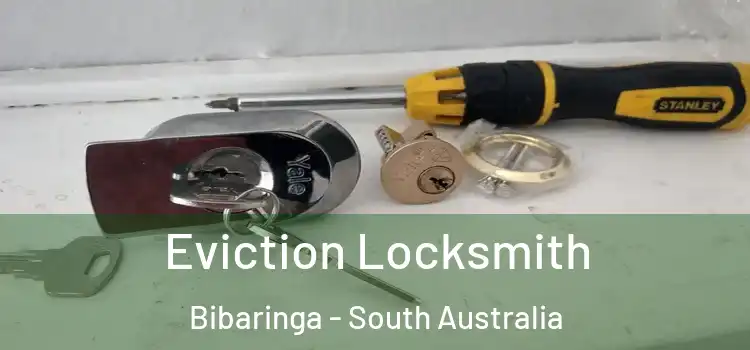 Eviction Locksmith Bibaringa - South Australia