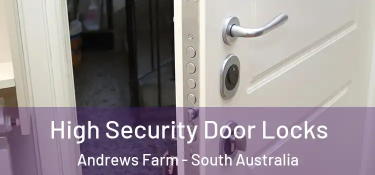 High Security Door Locks Andrews Farm - South Australia