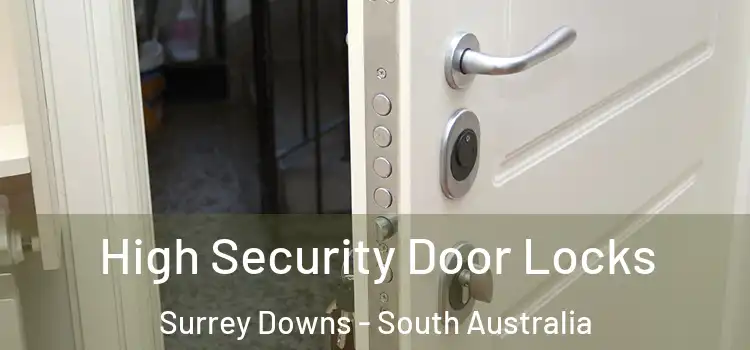 High Security Door Locks Surrey Downs - South Australia