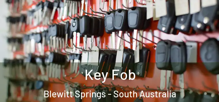 Key Fob Blewitt Springs - South Australia