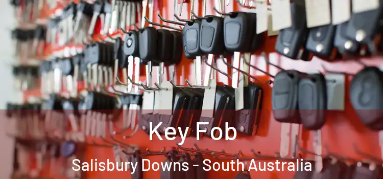 Key Fob Salisbury Downs - South Australia