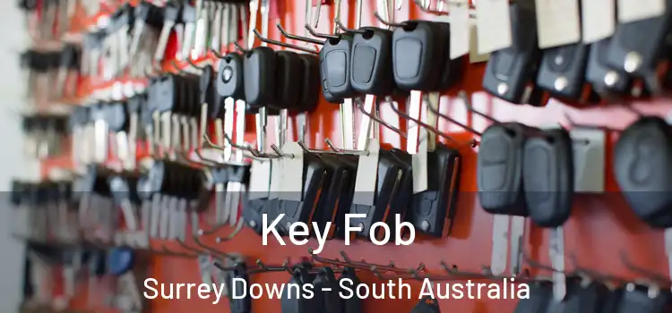Key Fob Surrey Downs - South Australia