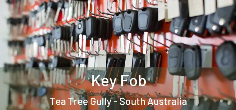 Key Fob Tea Tree Gully - South Australia
