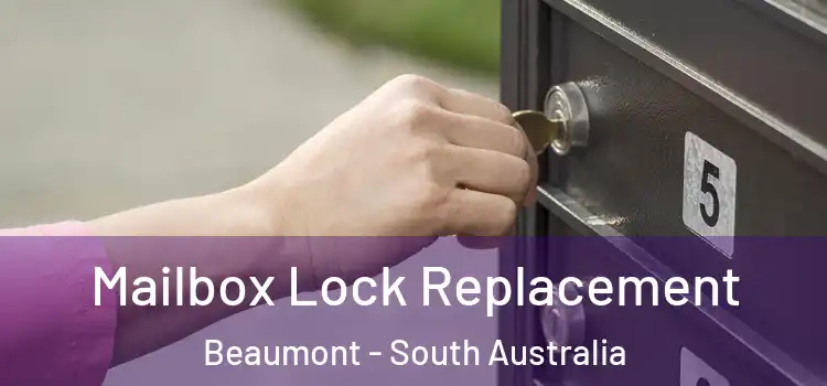 Mailbox Lock Replacement Beaumont - South Australia