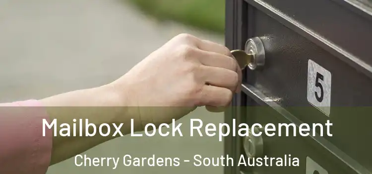 Mailbox Lock Replacement Cherry Gardens - South Australia