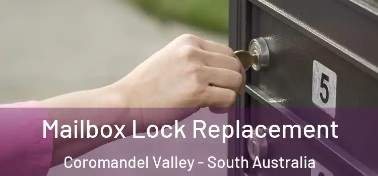 Mailbox Lock Replacement Coromandel Valley - South Australia