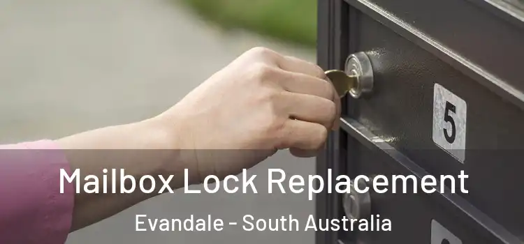 Mailbox Lock Replacement Evandale - South Australia