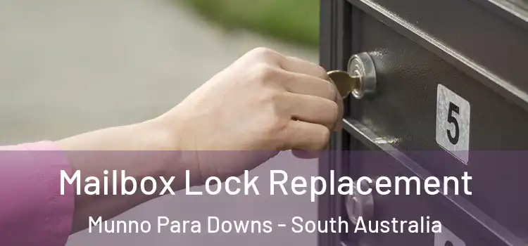 Mailbox Lock Replacement Munno Para Downs - South Australia