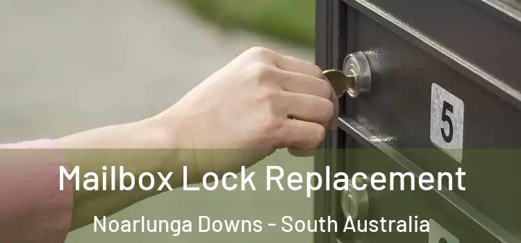 Mailbox Lock Replacement Noarlunga Downs - South Australia