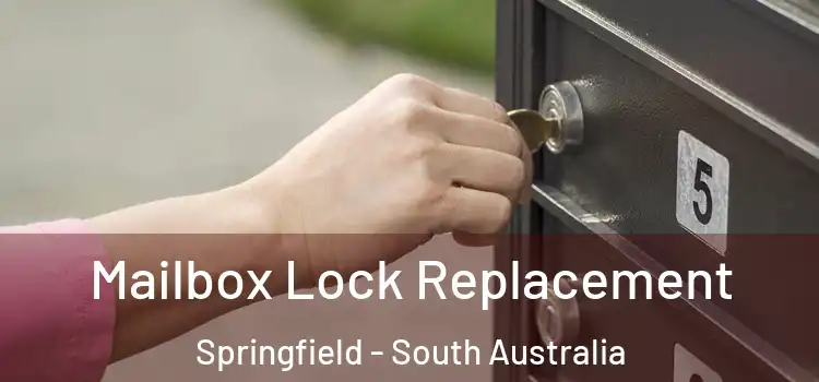 Mailbox Lock Replacement Springfield - South Australia