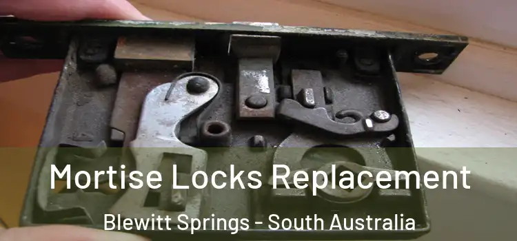 Mortise Locks Replacement Blewitt Springs - South Australia