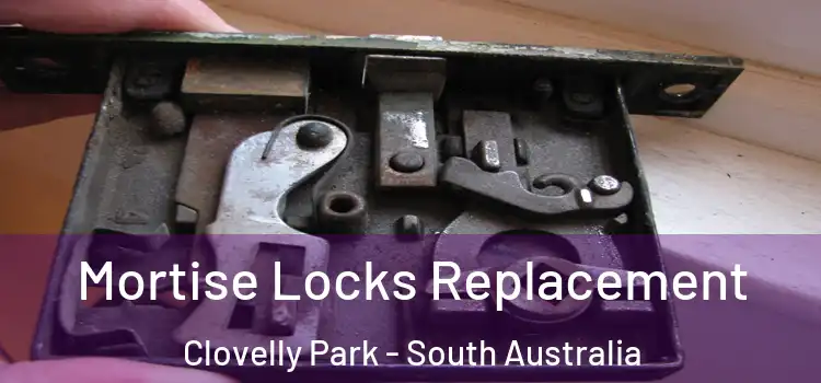 Mortise Locks Replacement Clovelly Park - South Australia