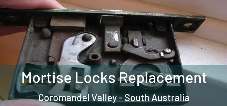 Mortise Locks Replacement Coromandel Valley - South Australia