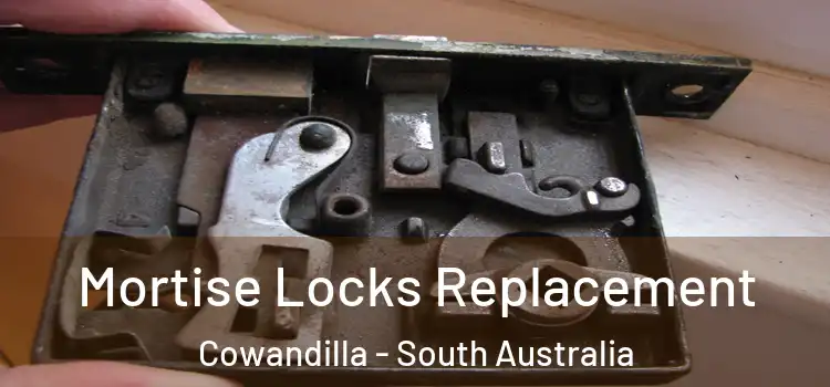 Mortise Locks Replacement Cowandilla - South Australia