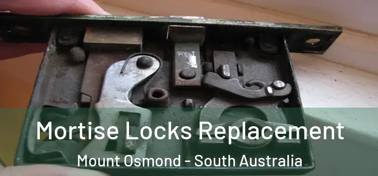 Mortise Locks Replacement Mount Osmond - South Australia