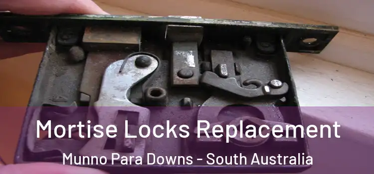 Mortise Locks Replacement Munno Para Downs - South Australia