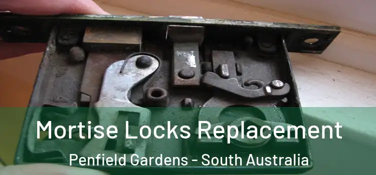 Mortise Locks Replacement Penfield Gardens - South Australia