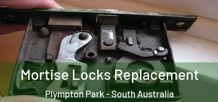 Mortise Locks Replacement Plympton Park - South Australia