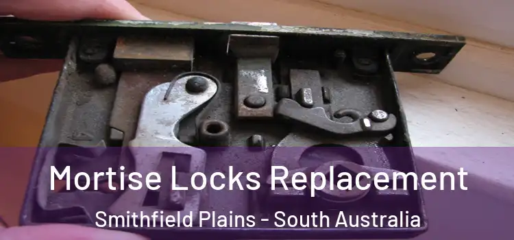 Mortise Locks Replacement Smithfield Plains - South Australia