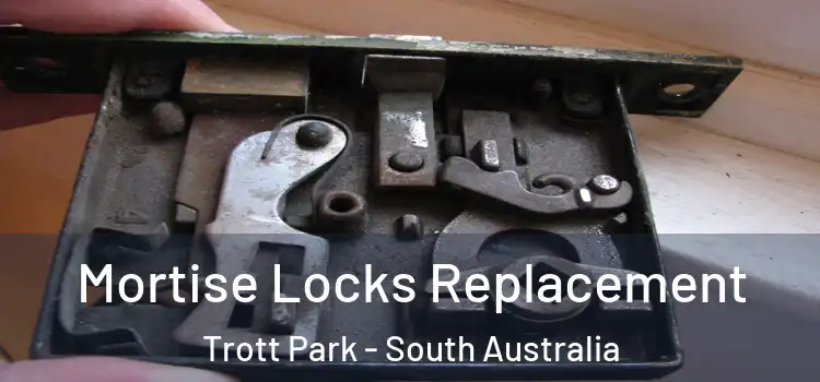 Mortise Locks Replacement Trott Park - South Australia