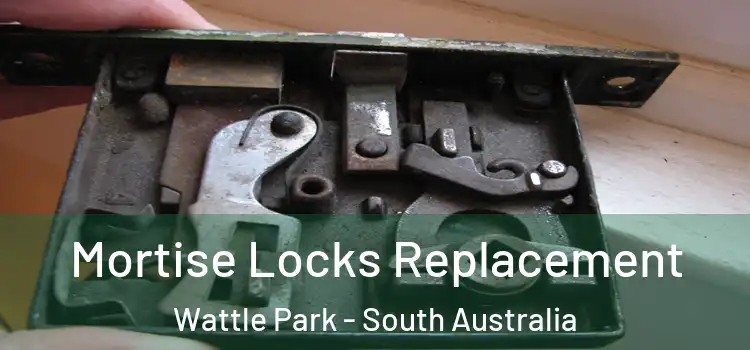 Mortise Locks Replacement Wattle Park - South Australia