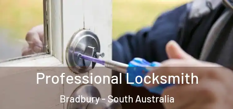 Professional Locksmith Bradbury - South Australia