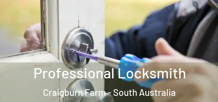 Professional Locksmith Craigburn Farm - South Australia