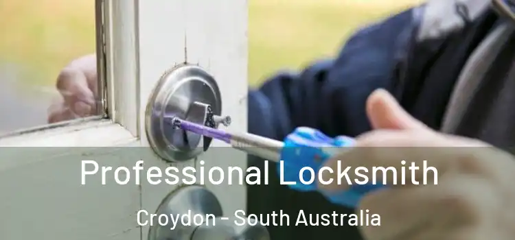 Professional Locksmith Croydon - South Australia