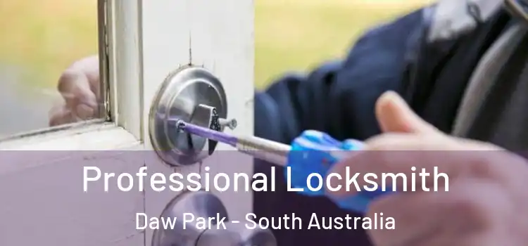 Professional Locksmith Daw Park - South Australia