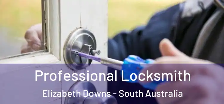 Professional Locksmith Elizabeth Downs - South Australia