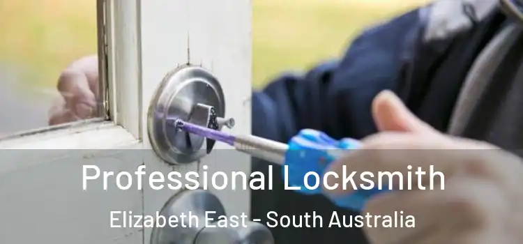 Professional Locksmith Elizabeth East - South Australia