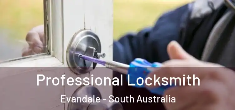 Professional Locksmith Evandale - South Australia