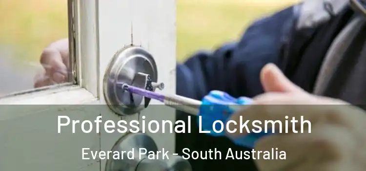 Professional Locksmith Everard Park - South Australia