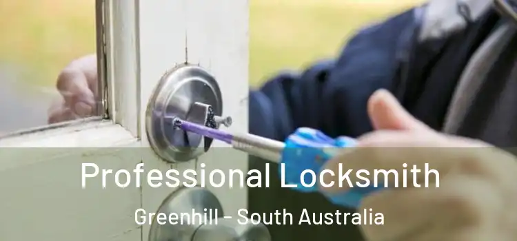 Professional Locksmith Greenhill - South Australia