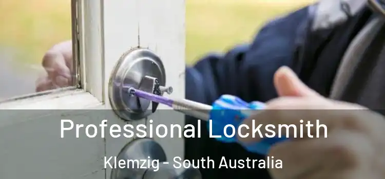 Professional Locksmith Klemzig - South Australia