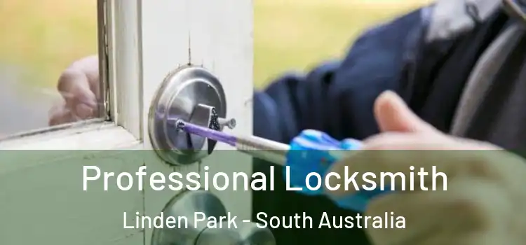 Professional Locksmith Linden Park - South Australia