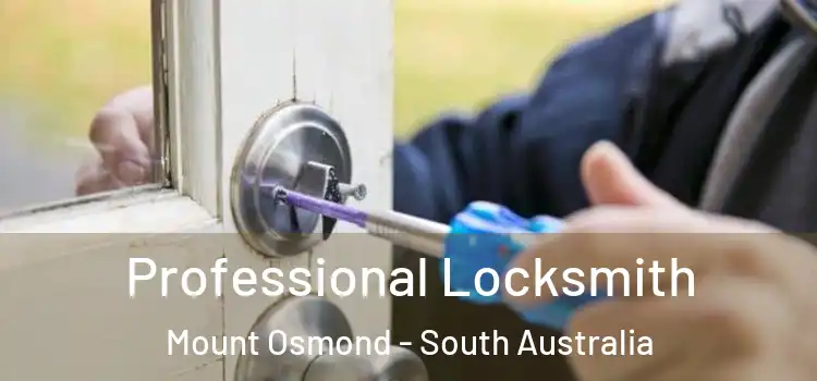 Professional Locksmith Mount Osmond - South Australia