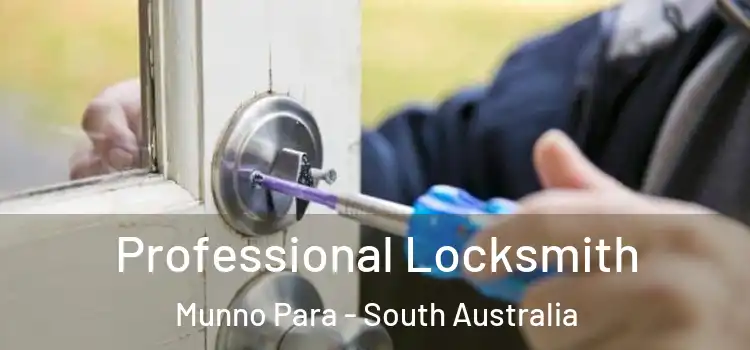 Professional Locksmith Munno Para - South Australia