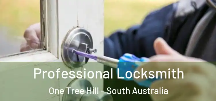 Professional Locksmith One Tree Hill - South Australia