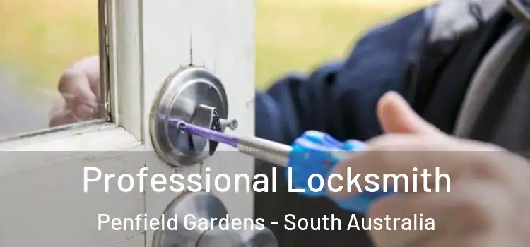 Professional Locksmith Penfield Gardens - South Australia